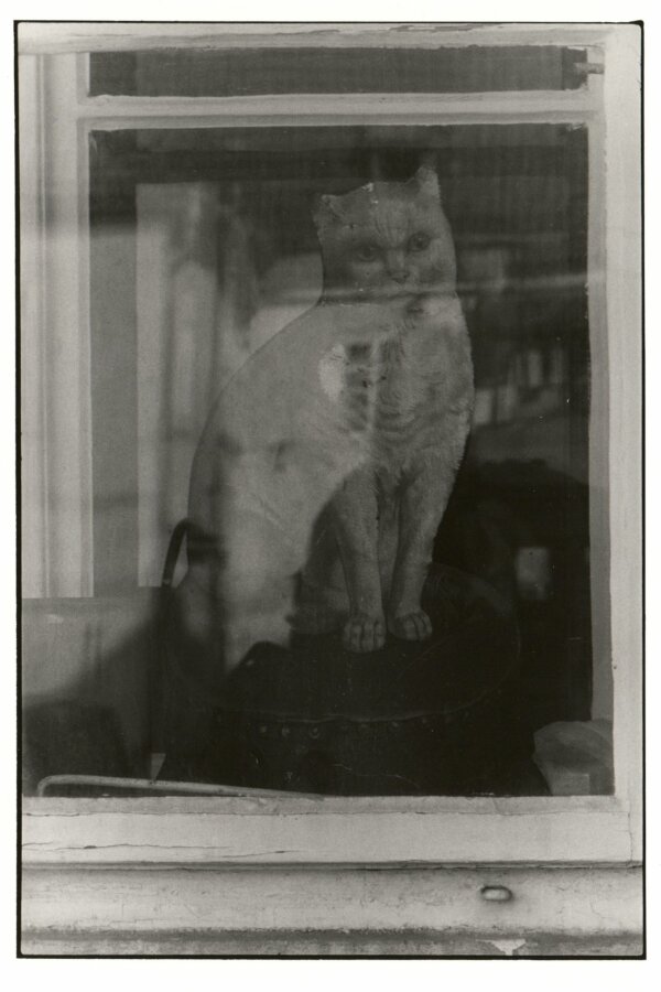 „KOČKA“, Praha 1980, katalog „FOTOGRAFIER“, pohlednice